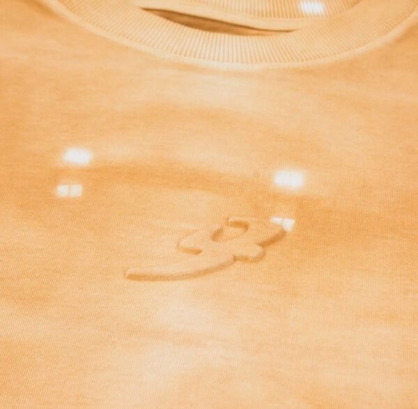IMG_9564 CAMISA "B GARÇA" SHIBORI