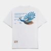 Ciena Sponsorship Heavy Tee